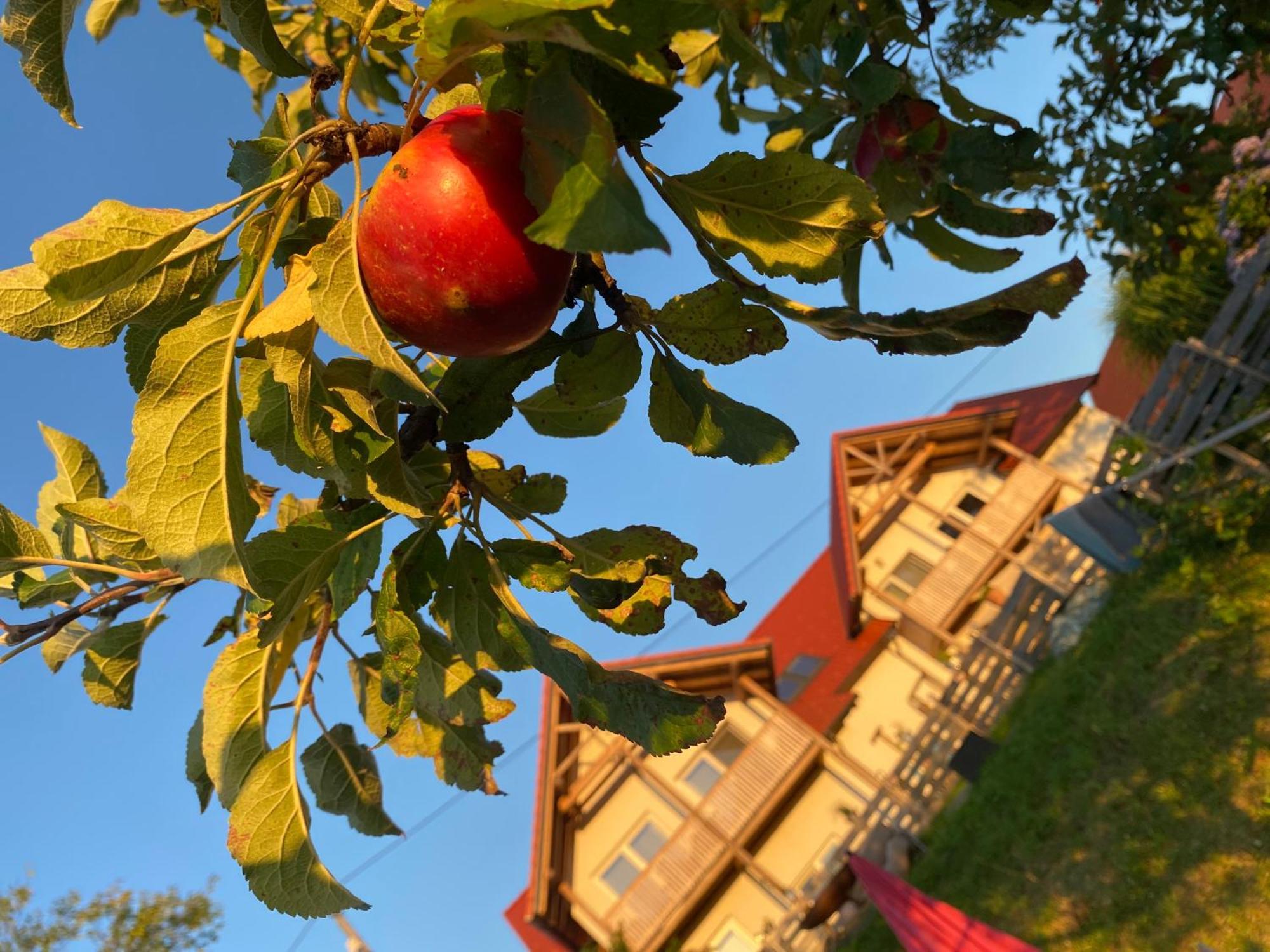 Fugger Alm Aparthotel Weichselbaum Exterior foto