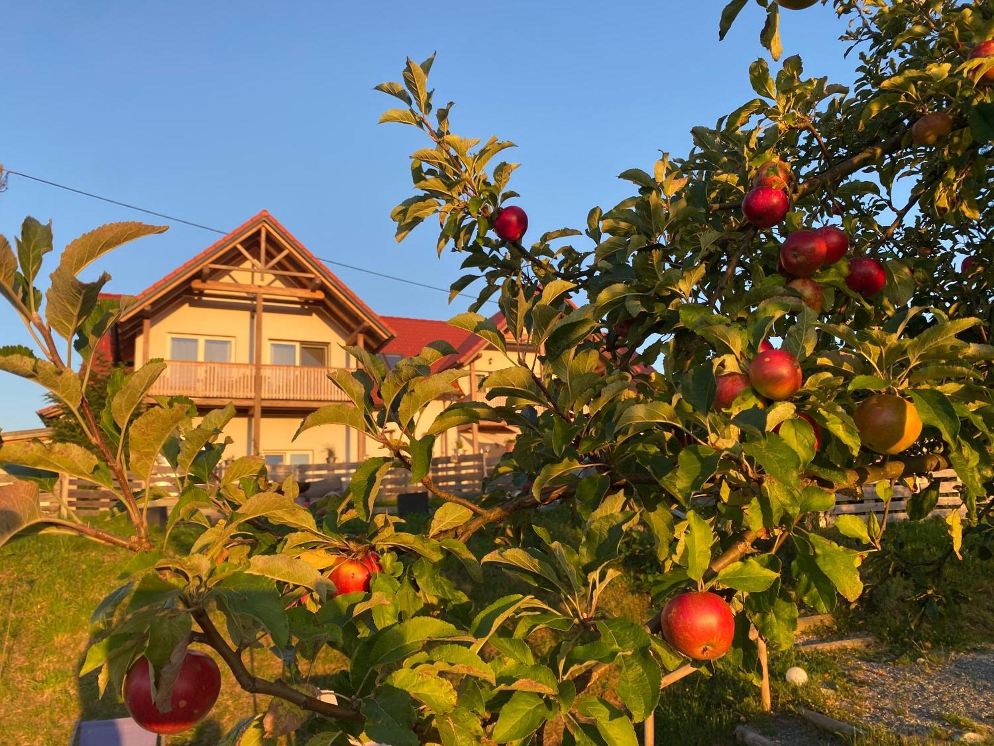 Fugger Alm Aparthotel Weichselbaum Exterior foto